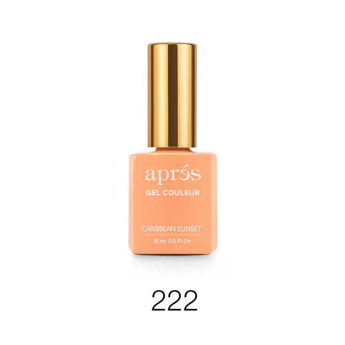 Apres Gel Couleur 15ml - C222