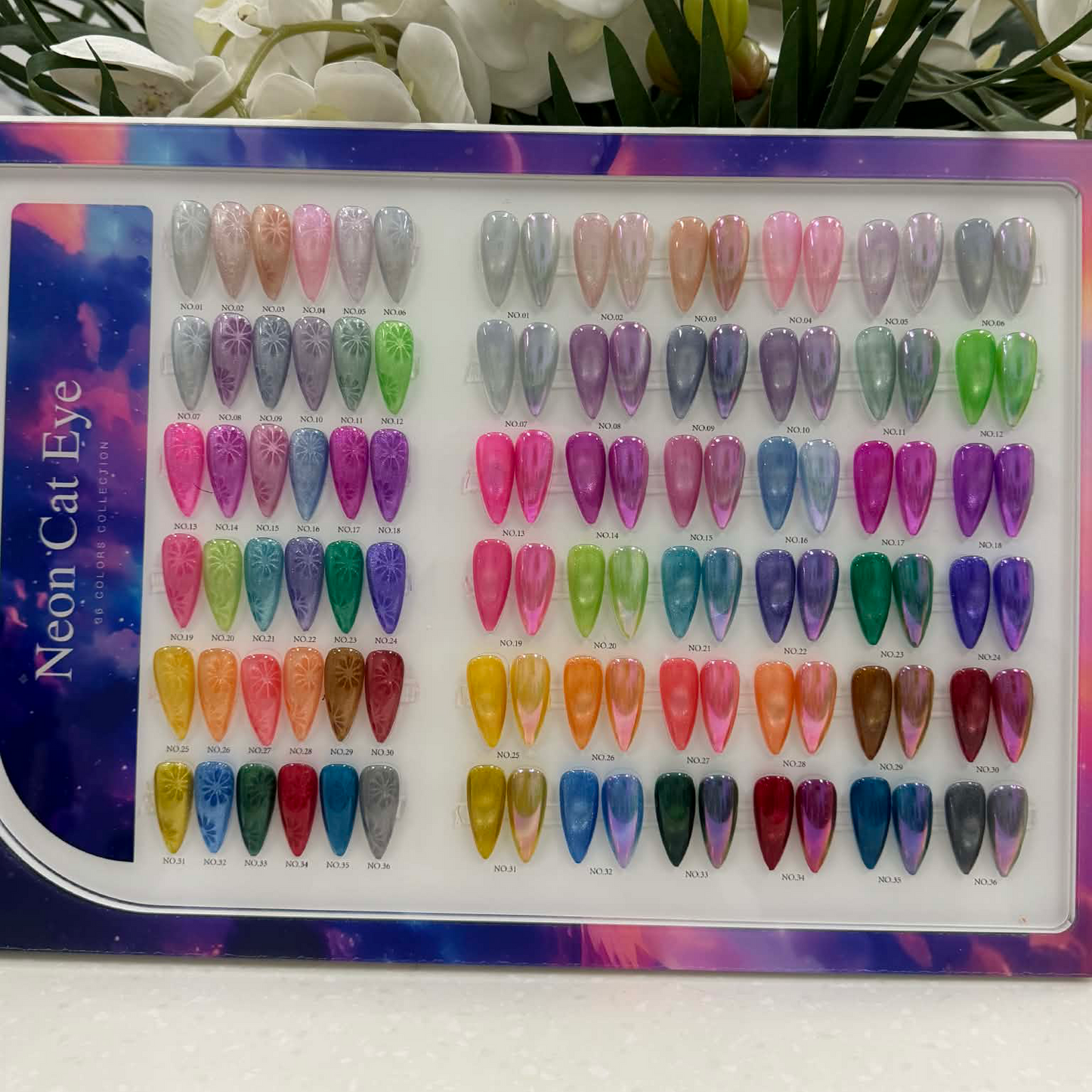 Neon Cat Eye Gel – 36 Colors (1 - 36)