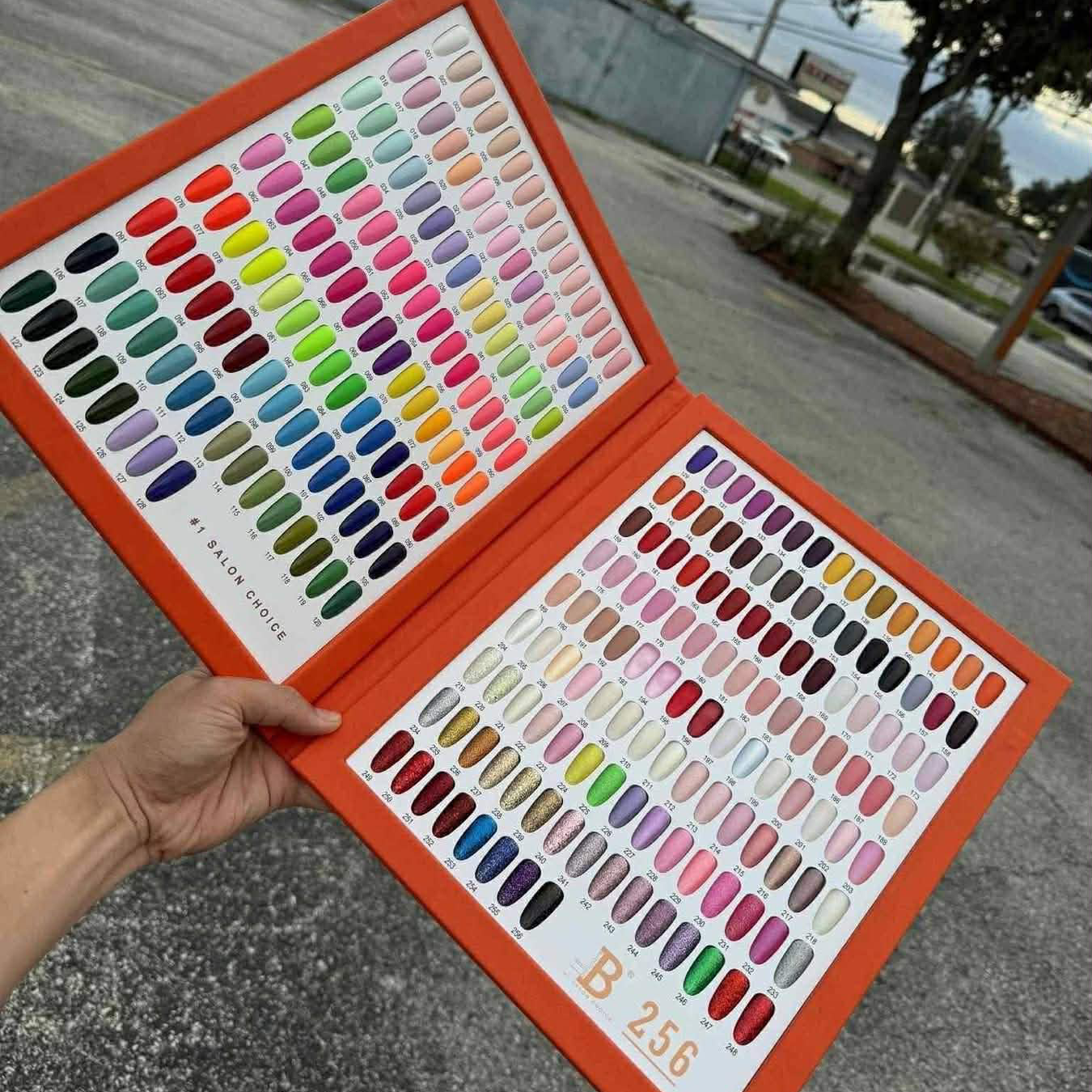 Billionaire Matching Duo 256 Colors