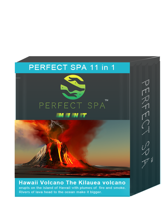 Perfect Spa 11in1 – Mint