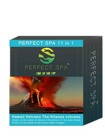 Perfect Spa 11in1 – Mint
